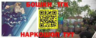 спиды Новокубанск